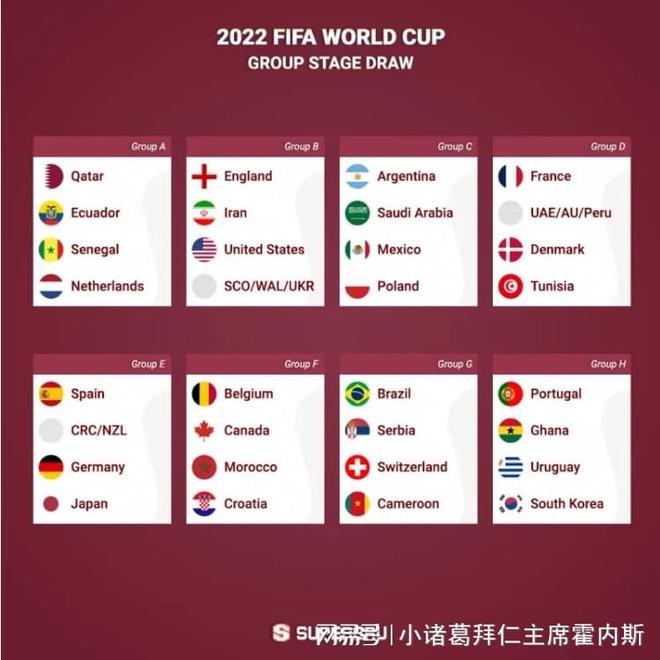 决定公布的