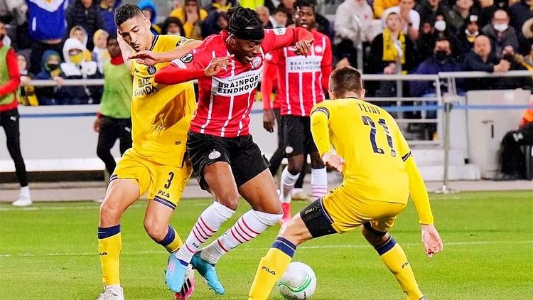 的共同语言 的共同语言