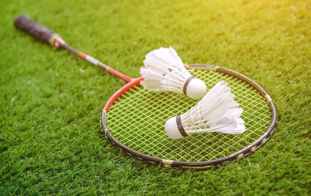 明星赛获胜 明星赛获胜